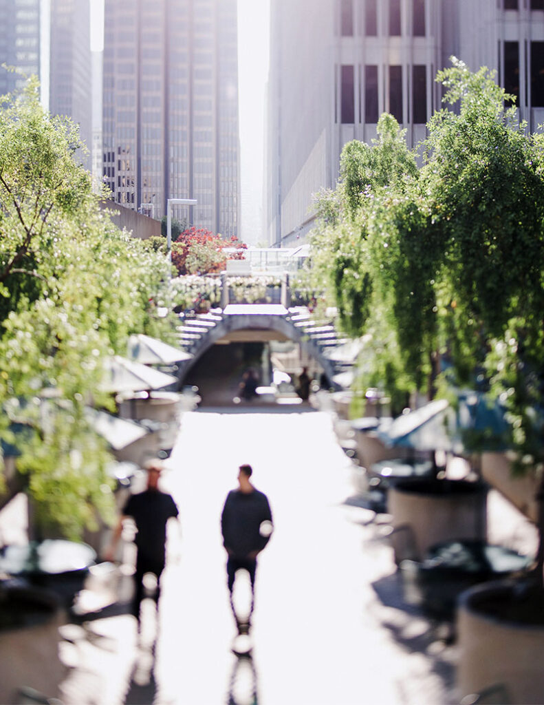 język niemiecki tłumacz przysięgły